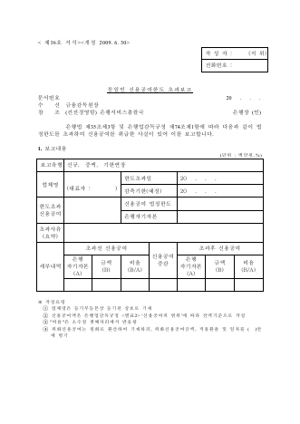 동일인 신용공여한도 초과보고