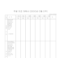 주별자금계획서