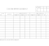 전도금사용보고서 전도금사용보고서