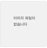 친양자입양승낙서(13세이상)